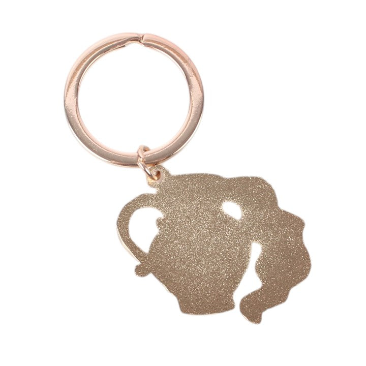 Zodiac Zest Aquarius Keyring