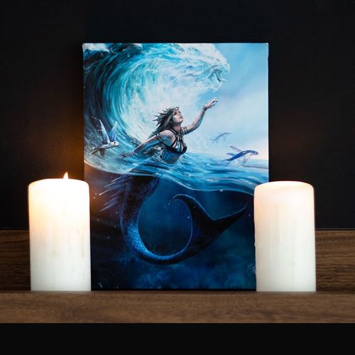 19x25cm Water Element Sorceress Canvas Plaque by Anne Stokes